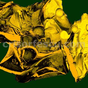 Molecular_Zoo-nanoart-print-gallery-inks-canvas-digital fine art-giclee