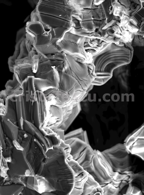 Nanographite_Psychedelic_Mushrooms-nanoart-print-gallery-inks-digital fine art paper-giclee