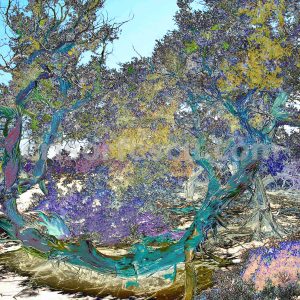 magic-tree-no2-impressionist-photography-digital-print-impressionism-art-giclee