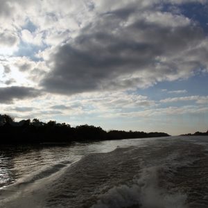 Danube-River-Delta-by-Boat-–-Sulina-Branch