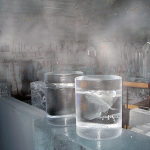 Ice-Lab